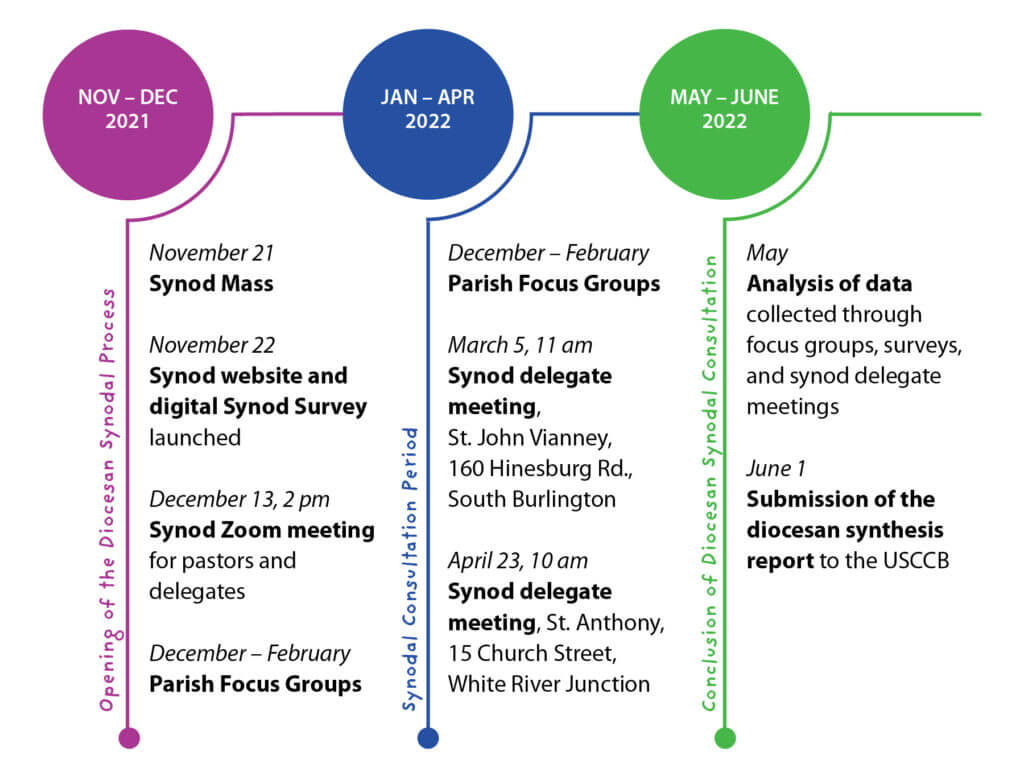 Synod_timeline_1Feb22