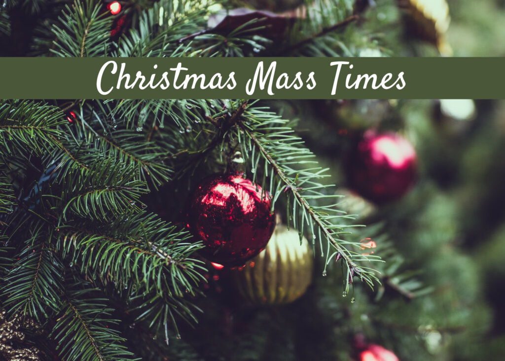 Christmas Eve & Christmas Day Masses around the diocese Roman Catholic Diocese of Burlington